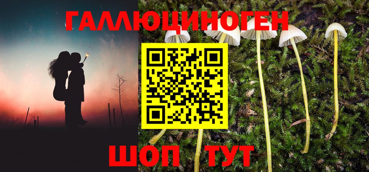 Амурск  Псилоцибиновые грибы ЛСД  Псилоцибиновые грибы мицелий  Вход с VPN 